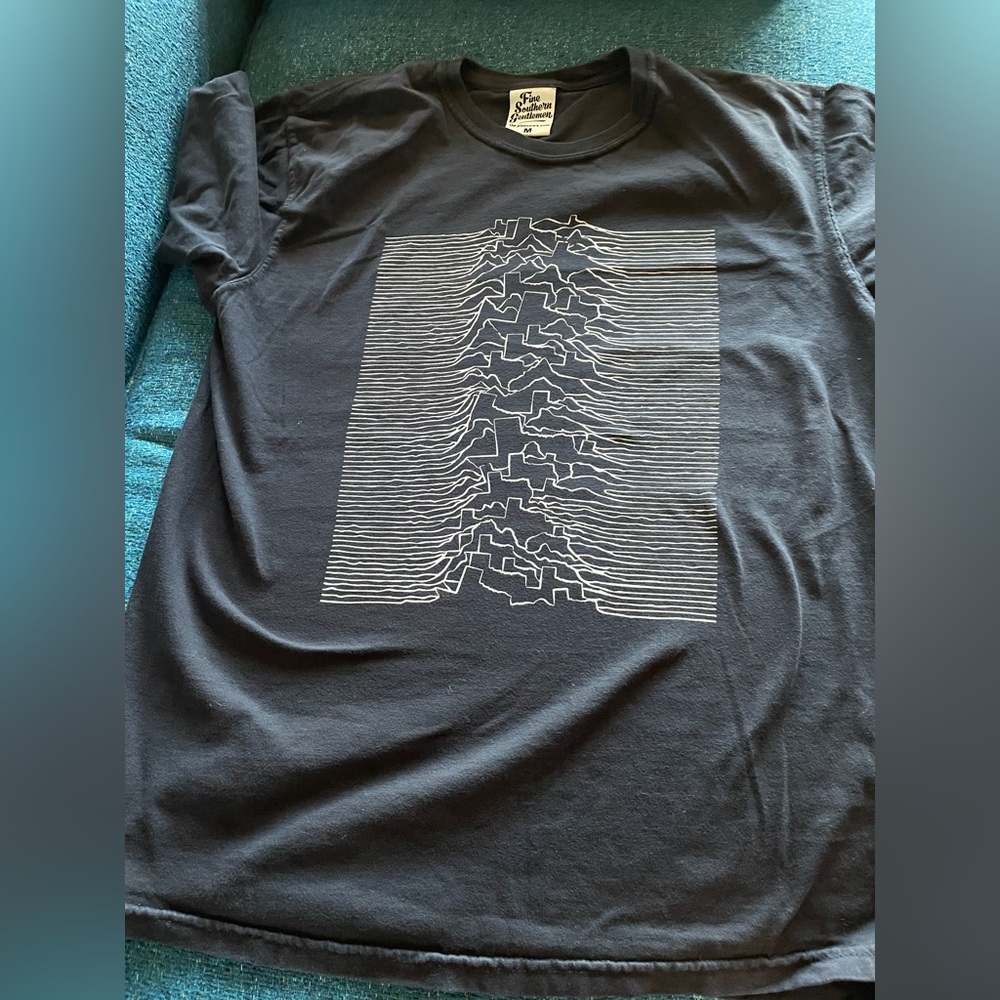 Fine southern gentleman M unisex black shirt texas joy division vintage